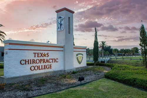 A woman thinking about her future